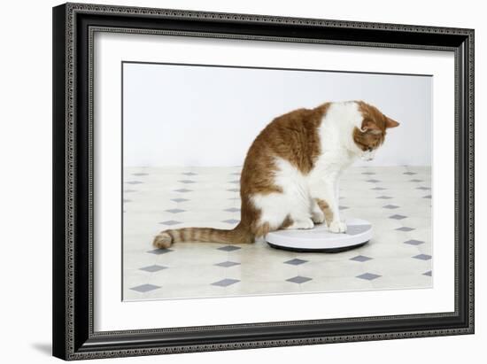 Sitting on Bathroom Scales-null-Framed Photographic Print