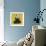 Sitting Panda-Sharon Turner-Framed Premium Giclee Print displayed on a wall