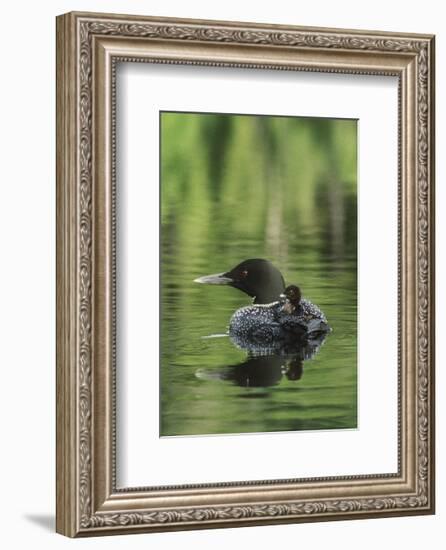 Sitting Pretty-Orah Moore-Framed Art Print