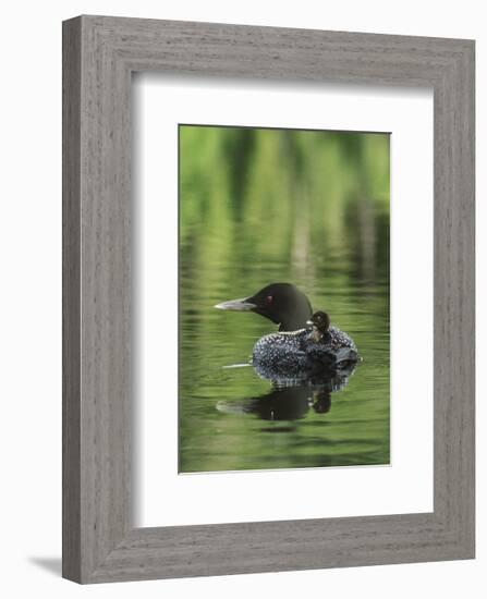 Sitting Pretty-Orah Moore-Framed Art Print