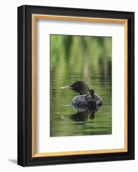 Sitting Pretty-Orah Moore-Framed Art Print