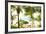 Sitting Under the Palms-Susan Bryant-Framed Photo