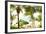 Sitting Under the Palms-Susan Bryant-Framed Photo