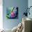 Sitting-Ray Lengele-Mounted Art Print displayed on a wall