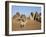 Situated a Short Distance East of Nile, Ancient Pyramids of Meroe are an Important Burial Ground-Nigel Pavitt-Framed Photographic Print