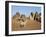 Situated a Short Distance East of Nile, Ancient Pyramids of Meroe are an Important Burial Ground-Nigel Pavitt-Framed Photographic Print