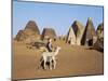 Situated a Short Distance East of Nile, Ancient Pyramids of Meroe are an Important Burial Ground-Nigel Pavitt-Mounted Photographic Print