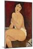 Sitzender Akt Auf Einem Diwan (Oder: La Belle Romaine), 1917-Amedeo Modigliani-Mounted Giclee Print