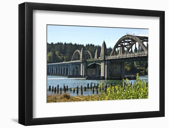 Siuslaw River Bridge, Old Town, Florence, Oregon, USA.-Michel Hersen-Framed Photographic Print