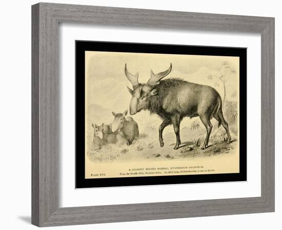 Sivatherium Giganteum-Joseph Smit-Framed Art Print