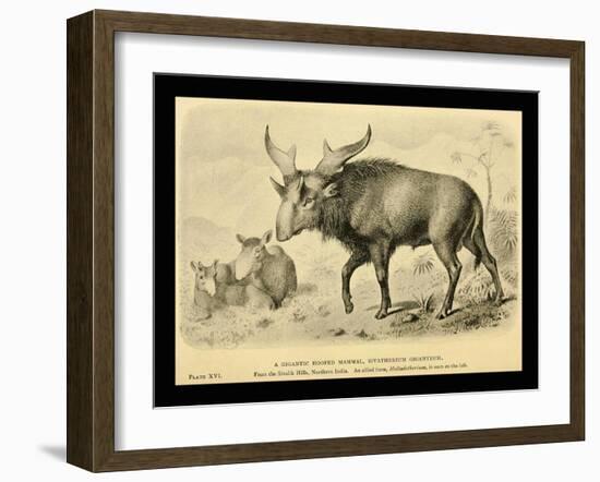 Sivatherium Giganteum-Joseph Smit-Framed Art Print