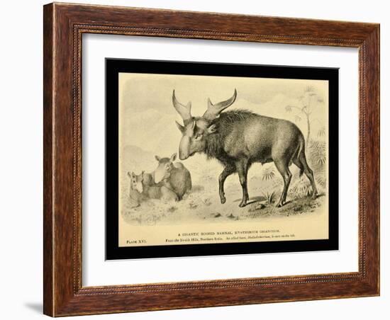 Sivatherium Giganteum-Joseph Smit-Framed Art Print