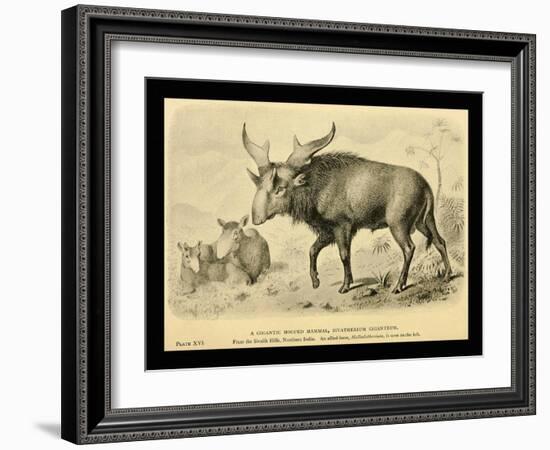 Sivatherium Giganteum-Joseph Smit-Framed Art Print