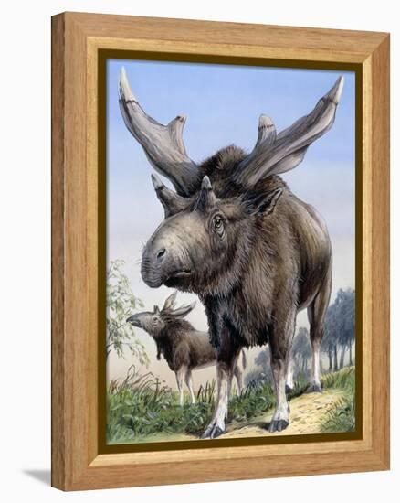 Sivatherium-null-Framed Premier Image Canvas