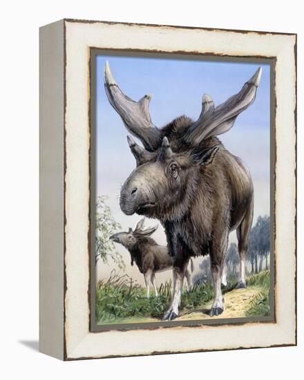 Sivatherium-null-Framed Premier Image Canvas