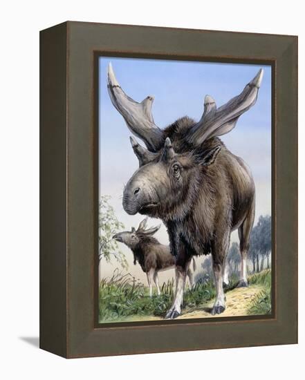 Sivatherium-null-Framed Premier Image Canvas