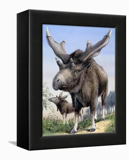 Sivatherium-null-Framed Premier Image Canvas