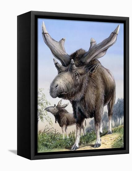 Sivatherium-null-Framed Premier Image Canvas
