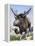 Sivatherium-null-Framed Premier Image Canvas