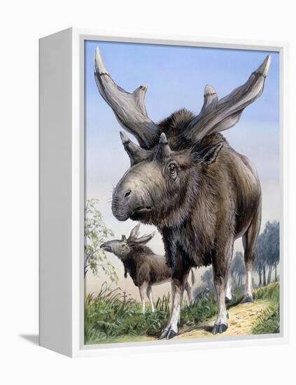 Sivatherium-null-Framed Premier Image Canvas