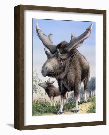 Sivatherium-null-Framed Photographic Print