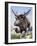 Sivatherium-null-Framed Photographic Print