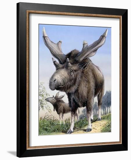 Sivatherium-null-Framed Photographic Print