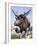 Sivatherium-null-Framed Photographic Print