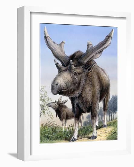 Sivatherium-null-Framed Photographic Print