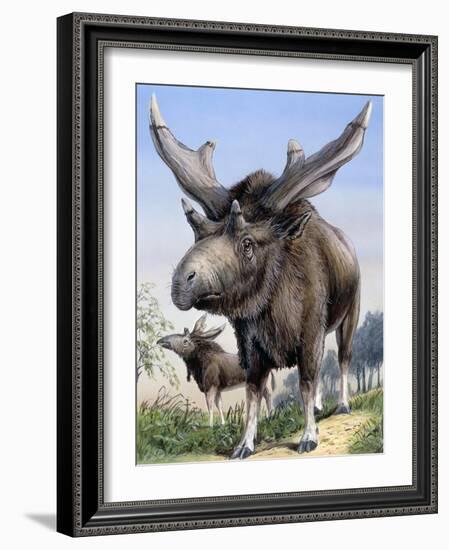 Sivatherium-null-Framed Photographic Print