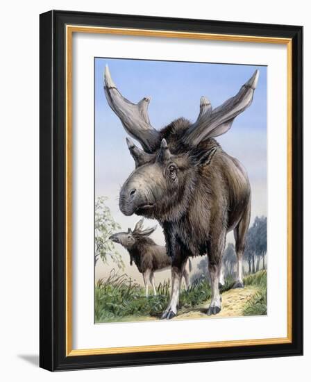 Sivatherium-null-Framed Photographic Print