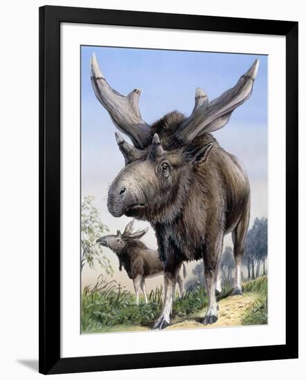 Photographic Print, , large