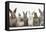 Six Baby Rabbits in Line-Mark Taylor-Framed Premier Image Canvas