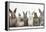 Six Baby Rabbits in Line-Mark Taylor-Framed Premier Image Canvas