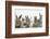 Six Baby Rabbits-Mark Taylor-Framed Photographic Print