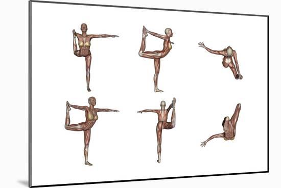 Six Different Views of Dancer Yoga Pose Showing Female Musculature-null-Mounted Art Print