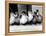 Six Ducklings Who were Abandoned by Their Mother, Being Given Swimming Lessons, July 1977-null-Framed Premier Image Canvas