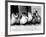 Six Ducklings Who were Abandoned by Their Mother, Being Given Swimming Lessons, July 1977-null-Framed Photographic Print