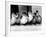 Six Ducklings Who were Abandoned by Their Mother, Being Given Swimming Lessons, July 1977-null-Framed Photographic Print