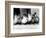 Six Ducklings Who were Abandoned by Their Mother, Being Given Swimming Lessons, July 1977-null-Framed Photographic Print