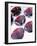 Six Glasses of Red Wine Against White Background-Linda Burgess-Framed Photographic Print