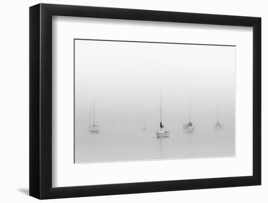 Six Moored Sailboats-Nicholas Bell-Framed Photographic Print