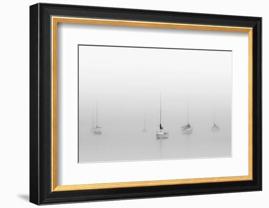 Six Moored Sailboats-Nicholas Bell-Framed Photographic Print