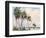 Six Palms-Richard A. Rodgers-Framed Art Print