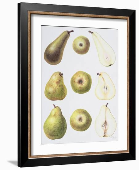 Six Pears, 1994-Margaret Ann Eden-Framed Giclee Print
