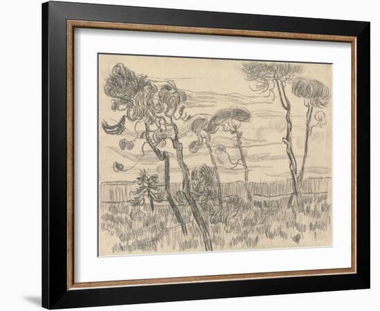 Six Pines Near the Enclosure Wall, 1899-Vincent van Gogh-Framed Giclee Print