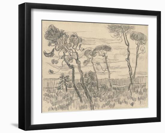 Six Pines Near the Enclosure Wall, 1899-Vincent van Gogh-Framed Giclee Print