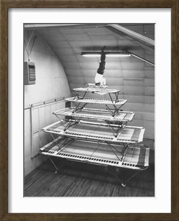 'Six Sizes of Trampolines Manufactured by Nissen Trampoline Co'  Photographic Print | Art.com