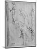 'Six Studies of Figures', 1481-1483 (1945)-Leonardo Da Vinci-Mounted Giclee Print