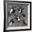 Six Studies of Goat Heads-Nicolaes Pietersz. Berchem-Framed Premium Giclee Print